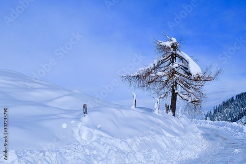 Winterlandschaft in Kärnten in Österreich