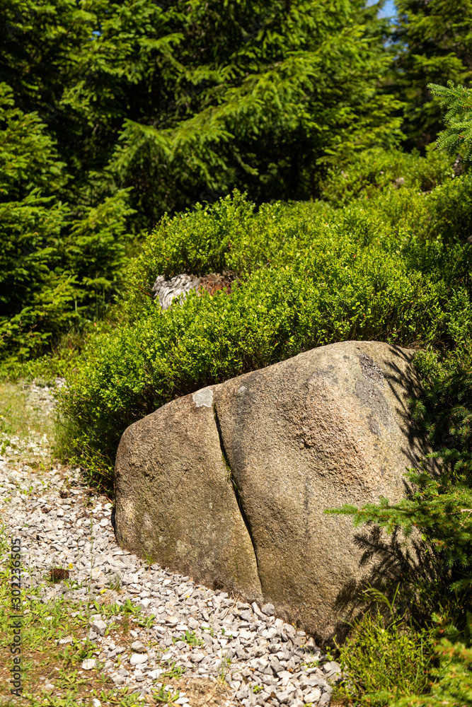 Die Natur mitten im Nationalpark Harz Die Natur mitten im Nationalpark Harz