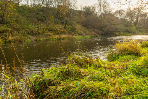river in autumn, trees in fallen leaves and yellow and green grass photo