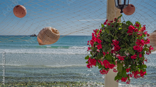 flowers on the golden beach Thassos  photo