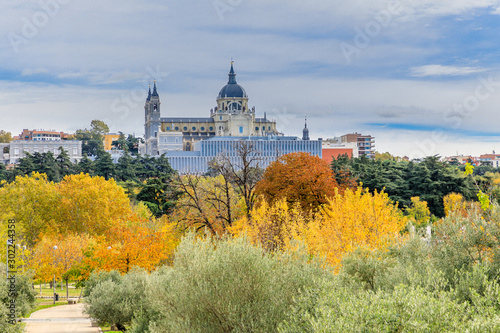 Almudena Cathedral with trees with autumn color in Madrid © josevgluis