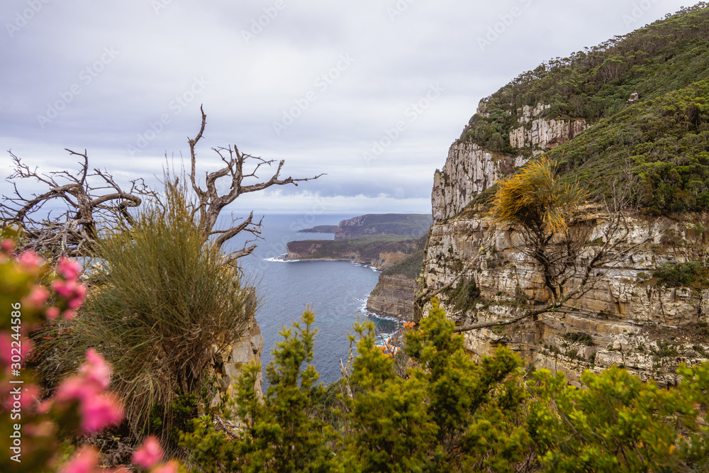 Obraz premium beautiful tasmania