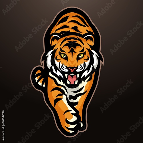 Walking tiger sports mascot color logo illustration