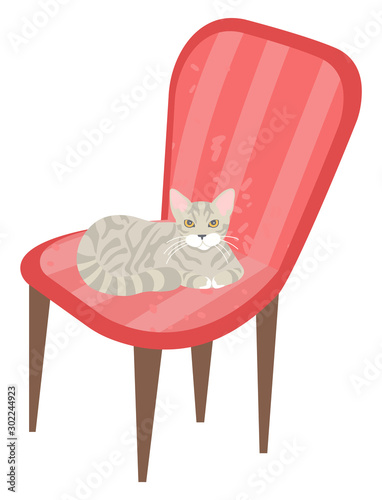 Kitten relaxing on soft pink armchair vector, isolated kitty on chair grey purring pet in home. Stool with fabric designed in vintage style pouffe