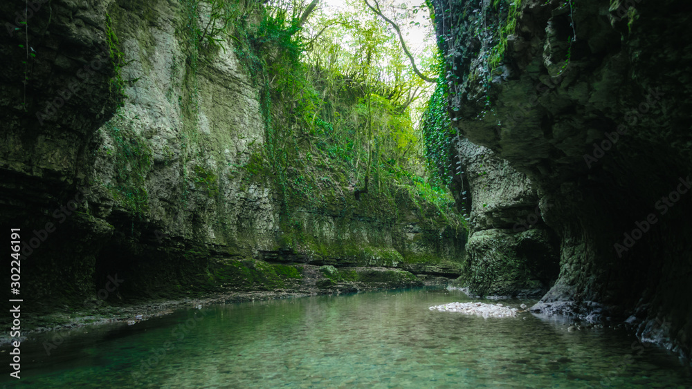 Naklejka premium river in the mountains with green plants in Georgia