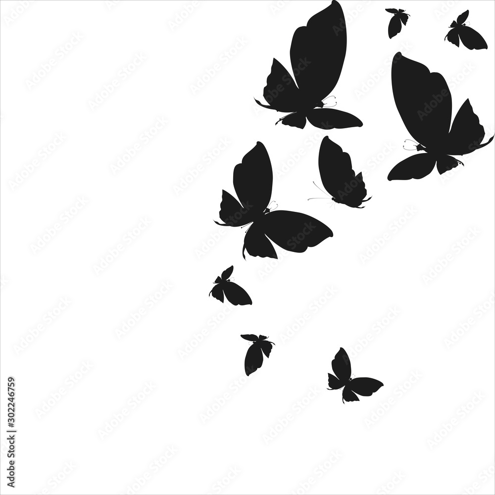 Fototapeta premium 11423