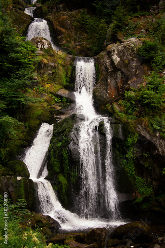 waterfall in forest