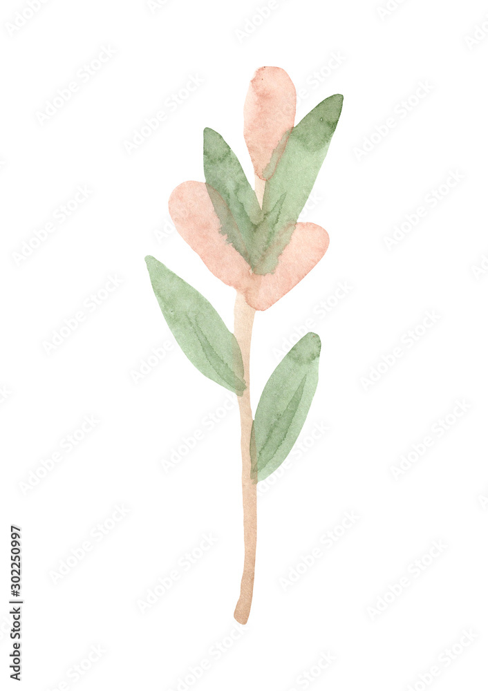 Hand drawn watercolor spring leaves. Isolated on white background.