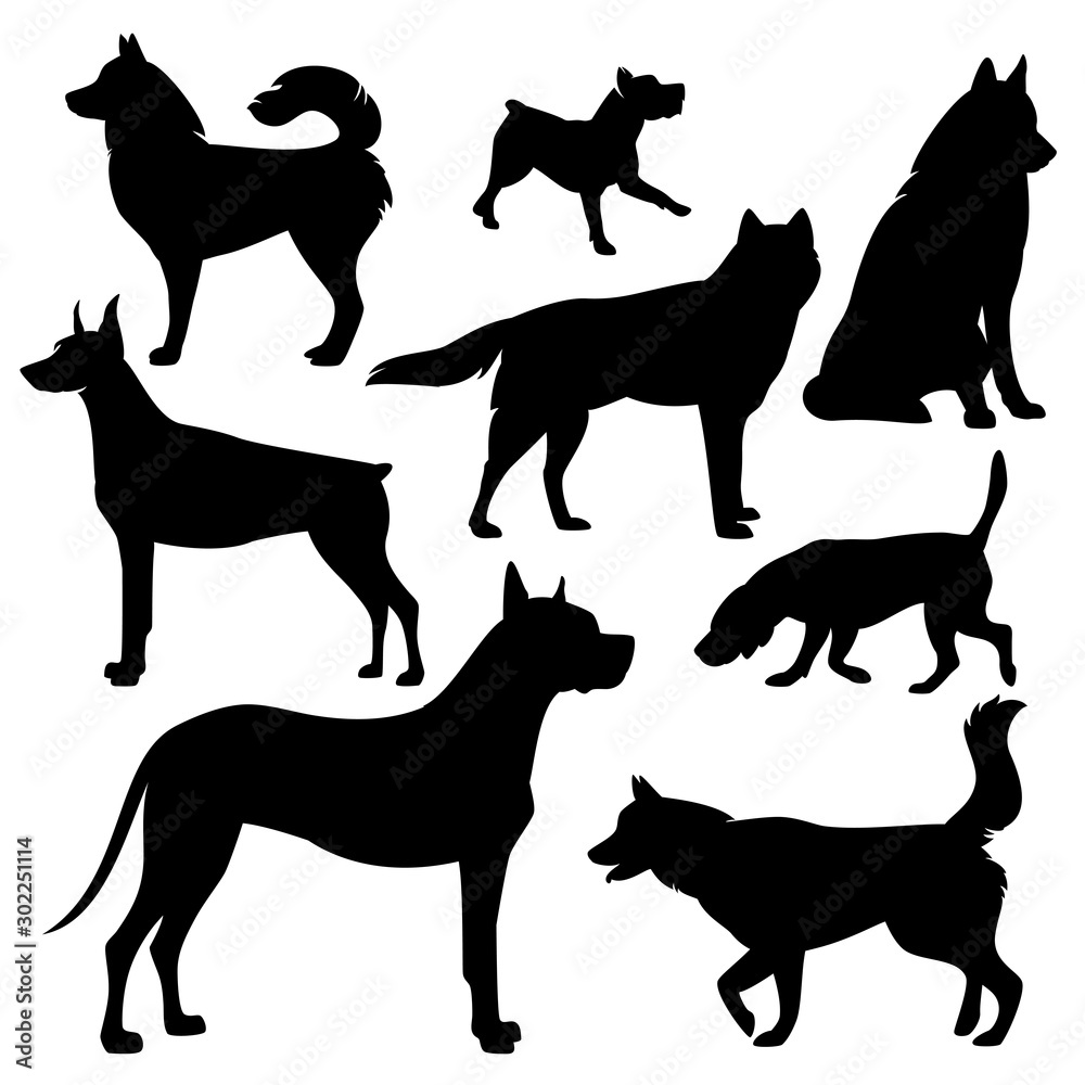 different dog breeds variety - black vector silhouette set of standing ...