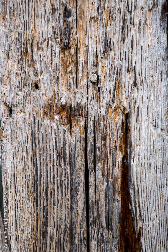 Old wooden boards with peeling paint. Old background. Textured planks of oak and pine. Bright colours. Natural aging of the material. Old wooden boards with peeling paint. Old background. Textured planks of oak and pine. Bright colours. Natural aging of the material.