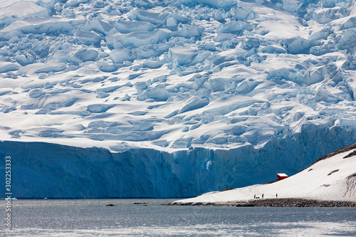 Neko Harbor Glacier - Antarctic Peninsula - Antarctica photo