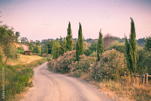 Typical tuscan curved road lined with cypresses