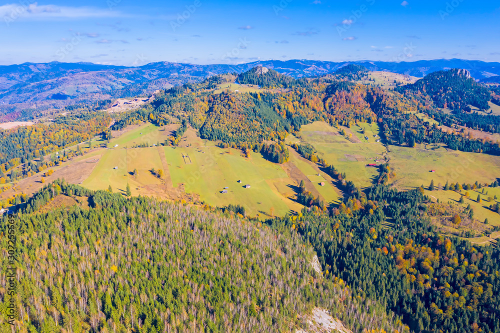 Aerial meadows and forest in autumn mountain