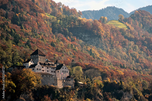 Vaduz, Lichtenstein. Schloss Vaduz with colorful forest in background. © Daniele