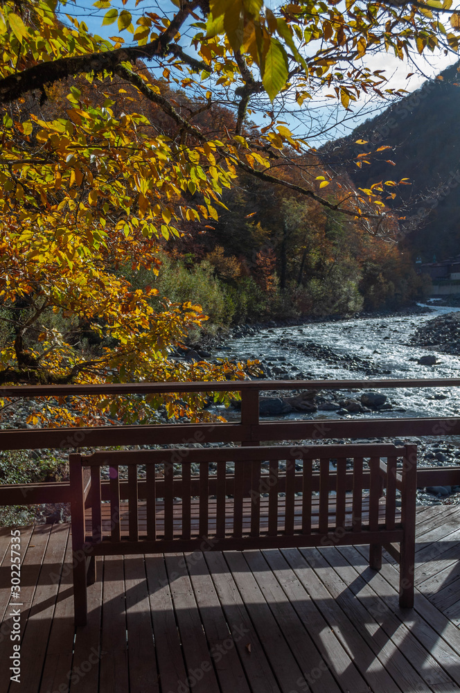 Naklejka premium a bench under trees with yellow o orange oak leaves in an autumn park on the banks of a stormy mountain river on a sunny day