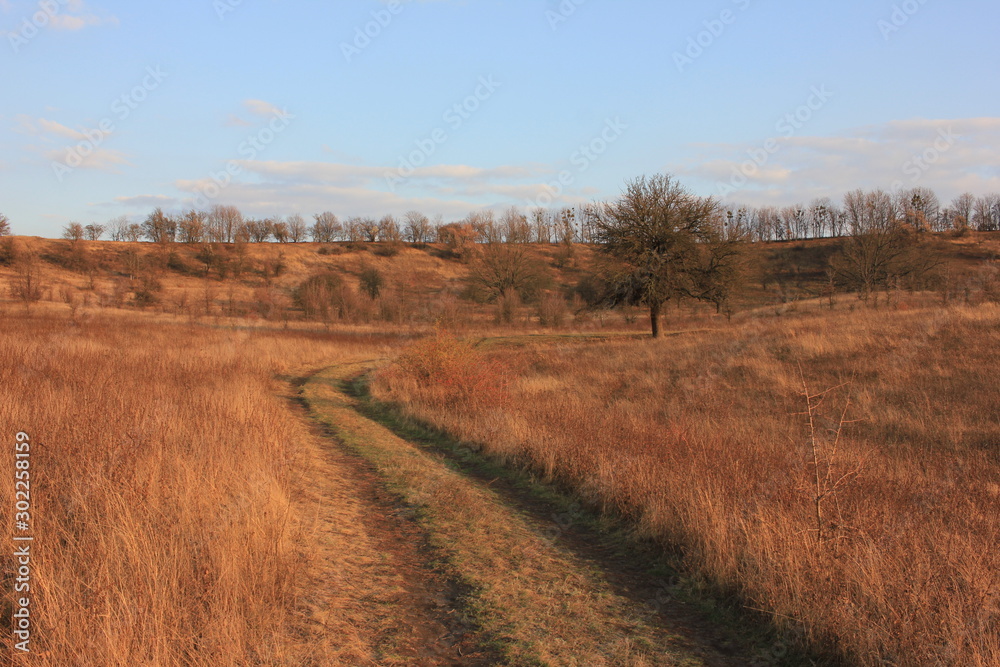 Countryside sunset landscape with field, hills, road and lonely wild pear tree. Road in the field