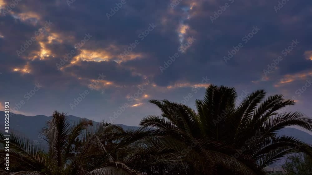 Summer morning sky. The sun shines through the clouds. The tops of green palm trees against a cloudy sky. Timelapse. Summer morning sky. The sun shines through the clouds. The tops of green palm trees against a cloudy sky. Timelapse.