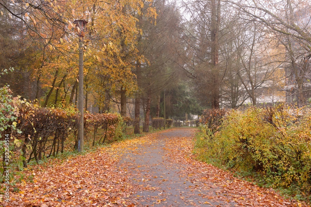 Fall, at the park. Trees, an old lamp post, piles of dead yellow leaves on the path, blurred building on a background