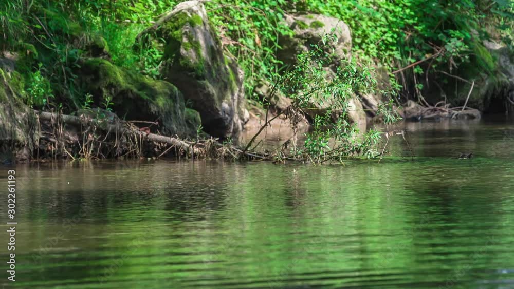 A beautiful and green water and also nice vegetation on rocks. This place looks quiet and peaceful. A beautiful and green water and also nice vegetation on rocks. This place looks quiet and peaceful.