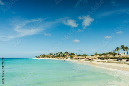 Fototapeta Naklejka Na Ścianę i Meble -  White sand beach and turquoise water  ocean on green palm trees and blue sky background. Aruba.  Amazing backgrounds.