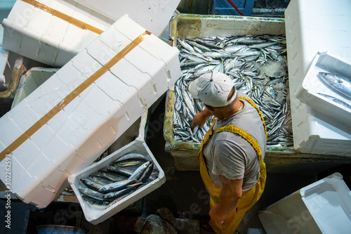 Pesca delle alici di Cetara