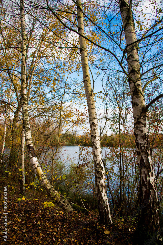 Herbst im Naturschutzgebiet Taubergiessen Herbst im Naturschutzgebiet Taubergiessen