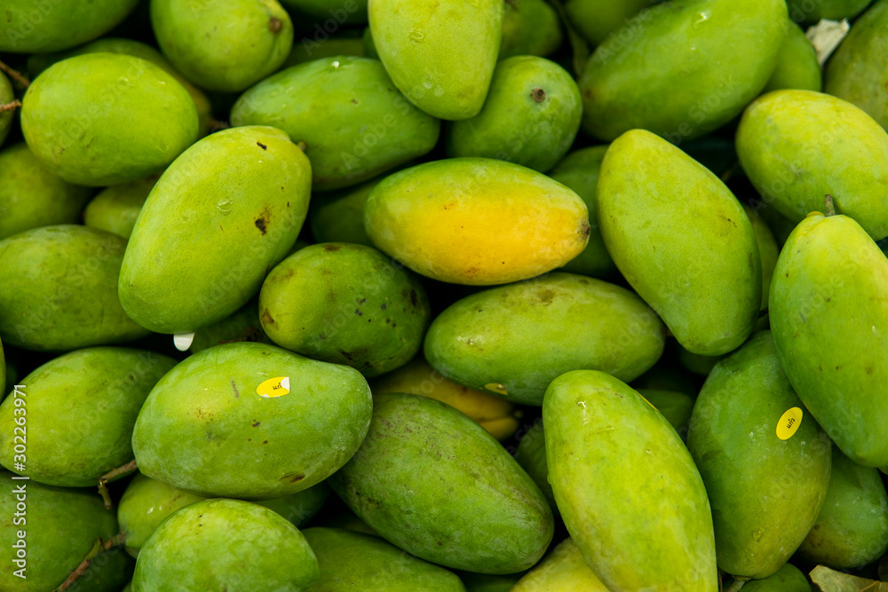 Texture of green juicy fresh mango fruit. Group of fresh green mango for sell .Thai fruit tropical raw mangoes. Tropical and exotic fruits. Healthy and vitamin food concept. Texture of green juicy fresh mango fruit. Group of fresh green mango for sell .Thai fruit tropical raw mangoes. Tropical and exotic fruits. Healthy and vitamin food concept.