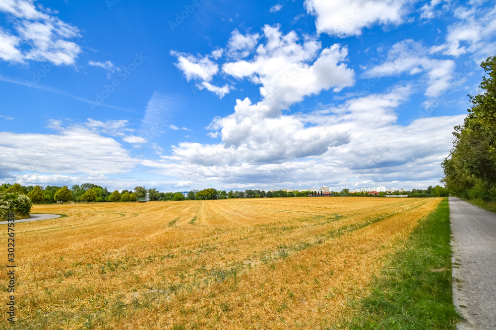 View over golden harvested fields to trees and buildings on the horizon under a blue and cloudy sky in Berlin, Germany.