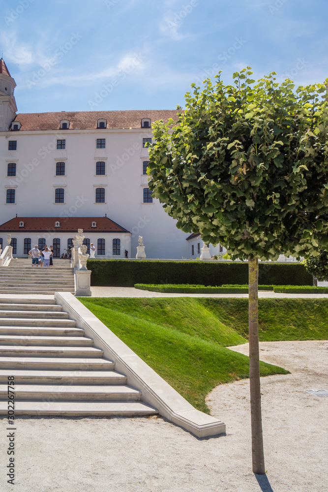 tree inside Bratislava Castle landmark of slovakia
