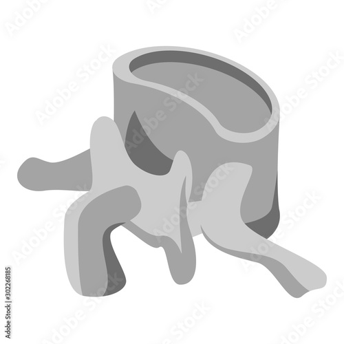 Vertebra column icon. Isometric of vertebra column vector icon for web design isolated on white background