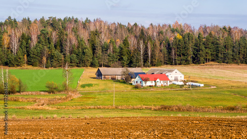 Wzgórza Sokólskie, Piękno ziemi sokólskiej, Jesień na Podlasiu,  photo