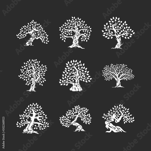 Beautiful magnificent olive tree silhouette icon set isolated on black. Modern virgin natural plant vector sign collection. Premium quality illustration organic ecological logo design emblem bundle.