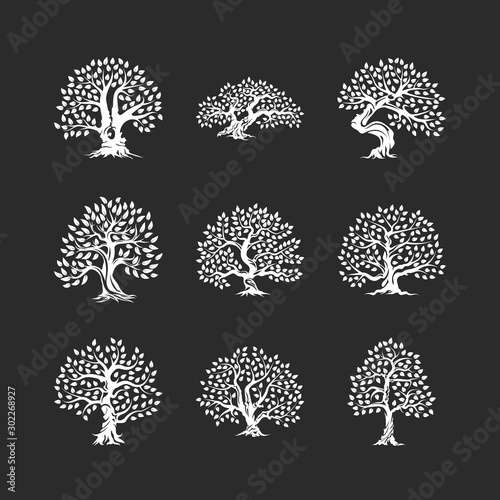 Beautiful magnificent olive tree silhouette icon set isolated on black. Modern virgin natural plant vector sign collection. Premium quality illustration organic ecological logo design emblem bundle.