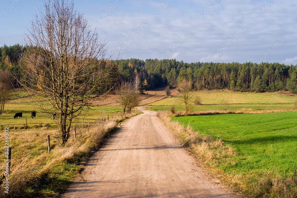 Wzgórza Sokólskie, Piękno ziemi sokólskiej, Jesień na Podlasiu, 