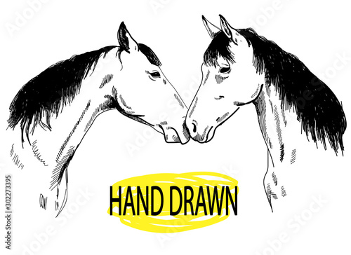 Fototapeta Dwa konie. Rysowanie ręczne. Walentynki , słodka kartka . Chłopak i dziewczyna .