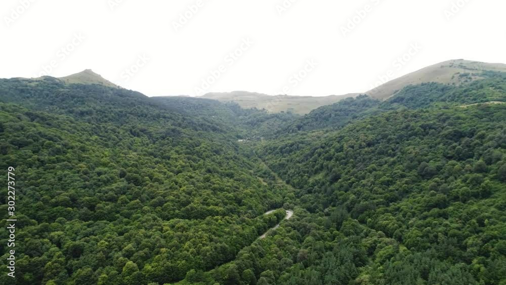 4K aerial of flying over a beautiful green forest in a rural landscape 4K aerial of flying over a beautiful green forest in a rural landscape