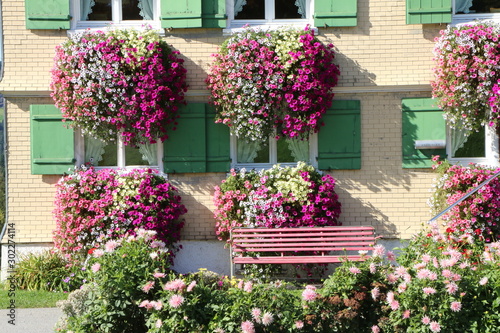 Österreich, Petunien in verschiedenen Farben, im Bauerngarten Dahlien, historisches Bauernhaus in Vorarlberg mit sommerlichem Blumenschmuck