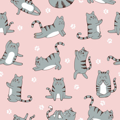 Acrylglasbilder Katzenmuster Sportliche Cartoon Katzen Fitness Muster  © Afanasia