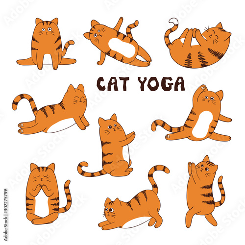 Set of cartoon funny yoga cat. Animal sport vector illustration.