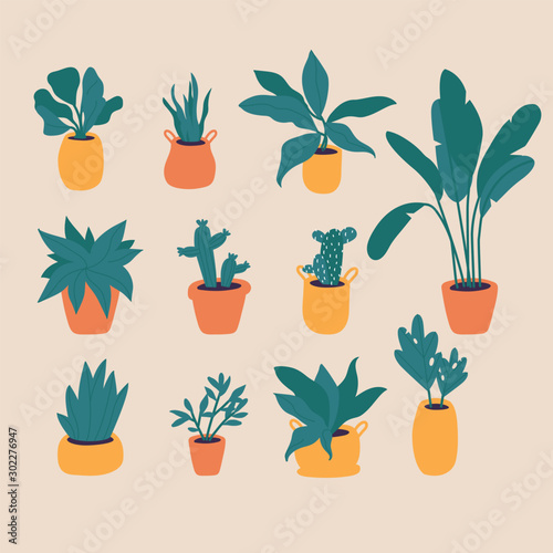Vector illustration plants in pots collection. Trendy home decor with plants, cactus, tropical leaves. Bundle of trendy potted plants.