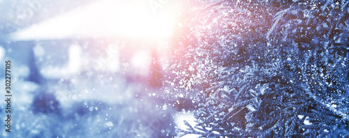 Winter christmas background with copy space, bokeh, snowflakes. Snowy landscape with fir branches. Blue tinting, sunlight.