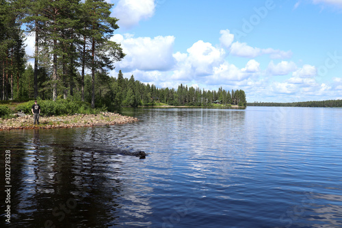 Boy watching dog swim in a lake in Finland