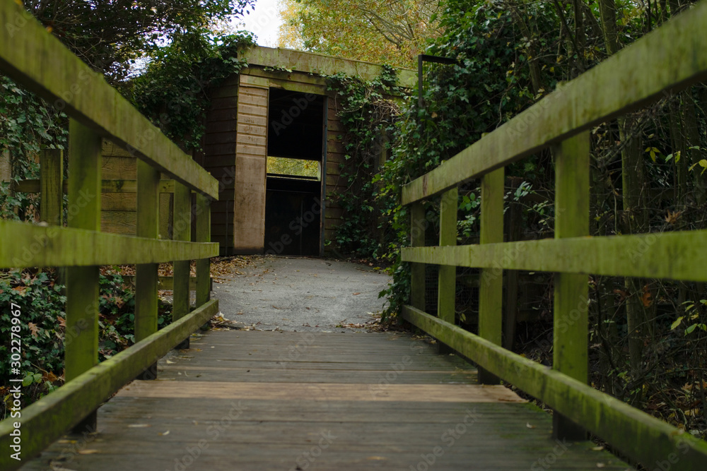 Wooden bridge leads the way to wooden bird hide hut