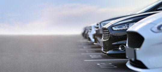 Fotobehang Voertuigen Auto's te koop op verkoopterrein  © Oleksandr