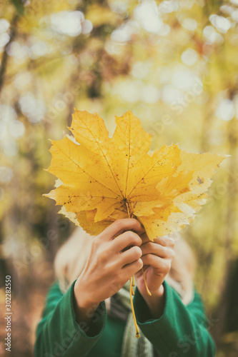Woman covering her face with fall leafs while enjoys in autumn  and spending time in the park.