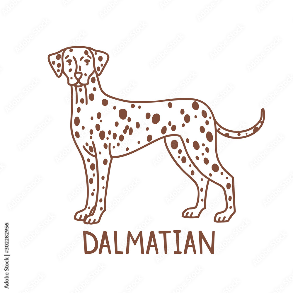 Isolated Dalmatian in Hand Drawn Doodle Style Isolated Dalmatian in Hand Drawn Doodle Style