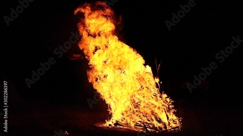 Blazing fire flames devouring wooden logs. Huge bonfire against the night sky. photo