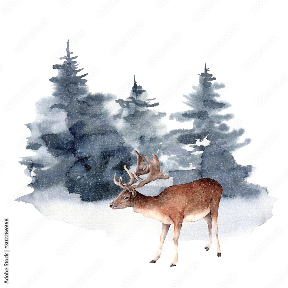 Akwarela jelenia w zimowym lesie. Wręcza malującą Bożenarodzeniową ilustrację z zwierzęcymi i jedlinowymi drzewami odizolowywającymi na białym tle. Kartka świąteczna do projektowania, drukowania, tkaniny lub tła. Dzika przyroda i mglisty. <span>plik: #302286968 | autor: yuliya_derbisheva</span>