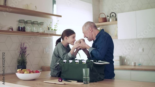 Small girl with senior grandfather indoors in kitchen unpacking shopping. photo