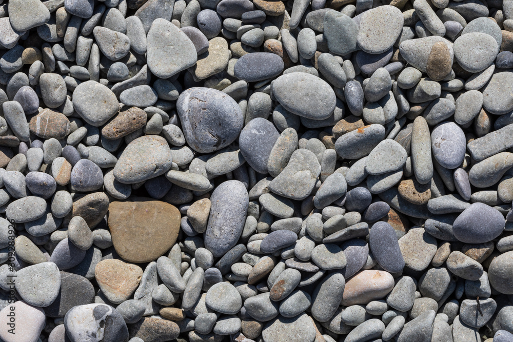 Grey and beige sea pebbles background, top view. Close up texture of small smooth stones on seashore, macro Grey and beige sea pebbles background, top view. Close up texture of small smooth stones on seashore, macro